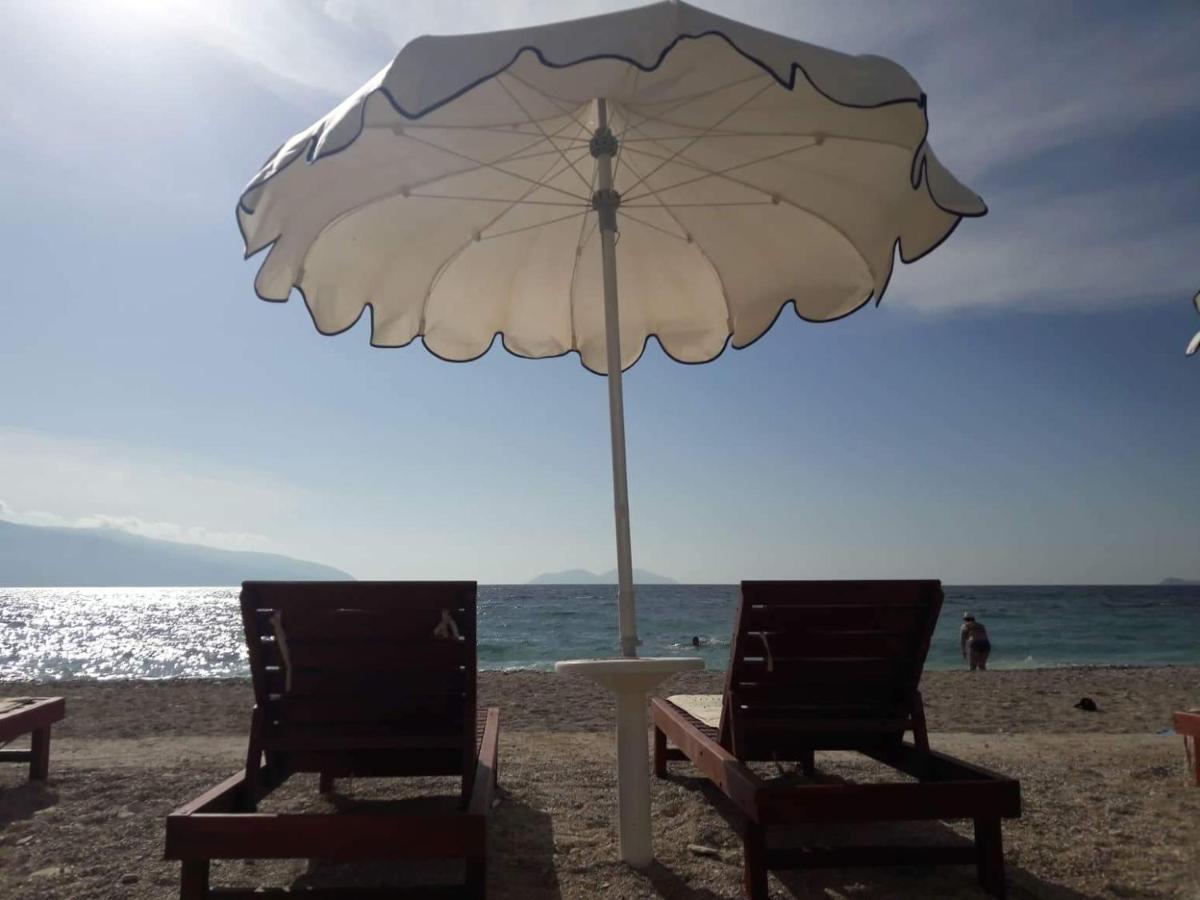 Hotell Palmanova Mardok Kanine